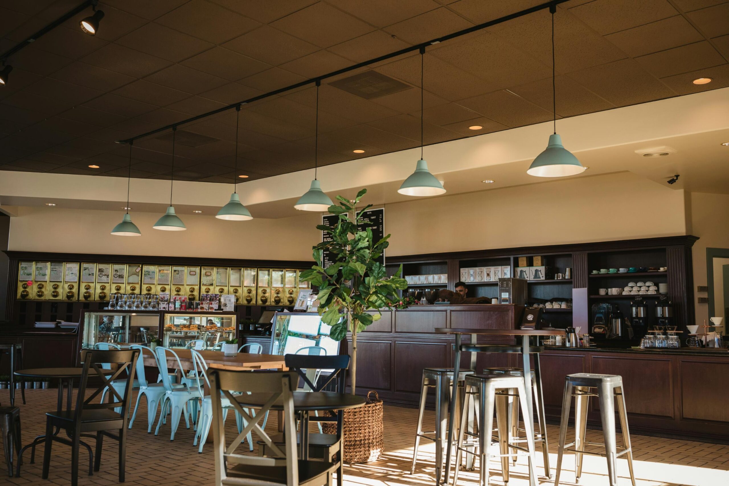 This image shows the interior of a spacious, well-lit coffee shop featuring dark wood cabinetry, a long service counter, and various seating options like high-top stools and light blue chairs.